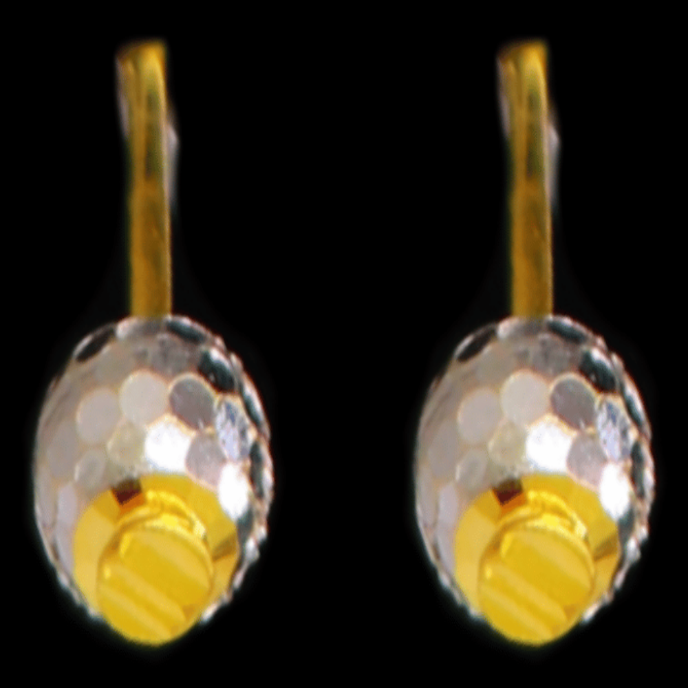 22K Gold Earrings – SW33541
