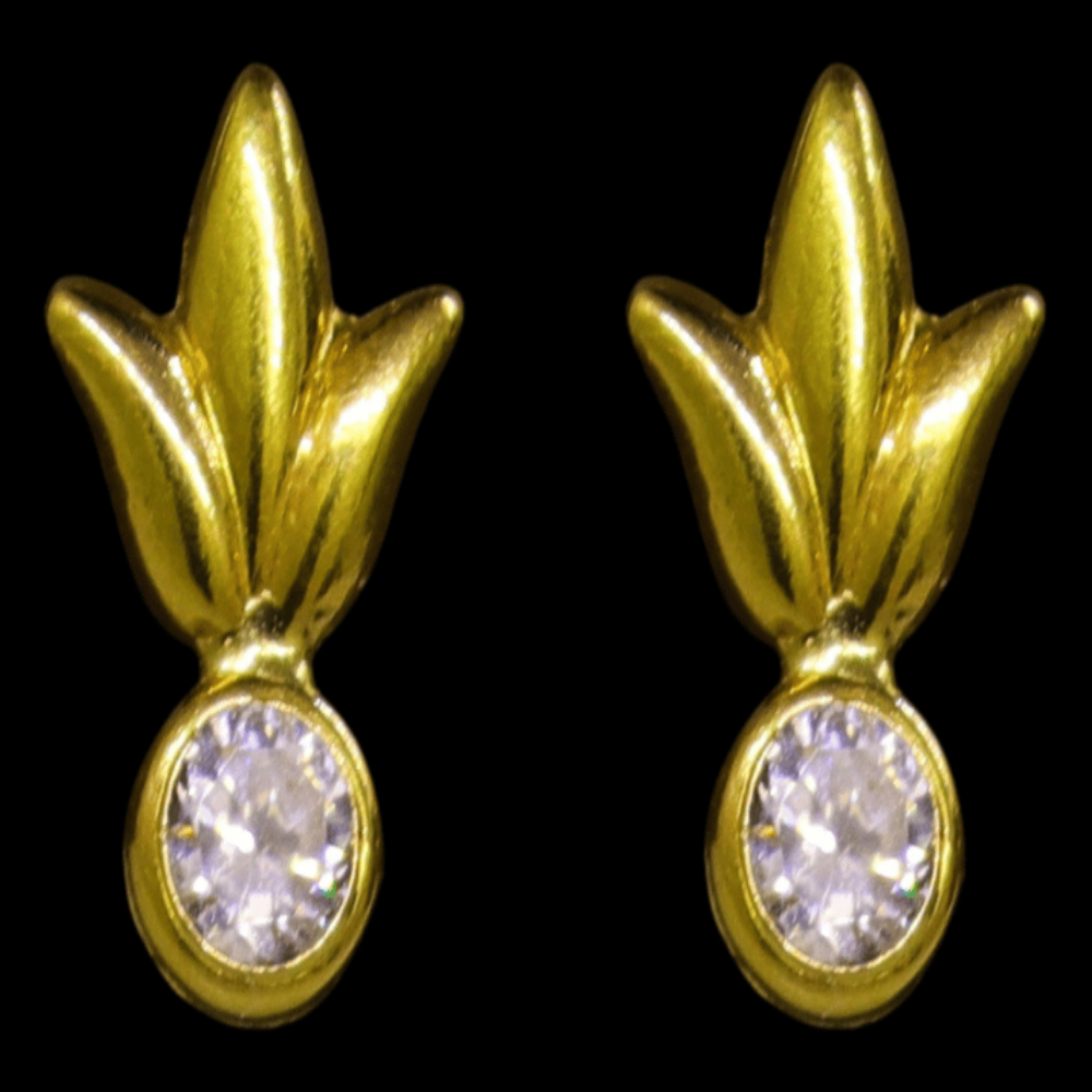18K Gold Hoop Earrings - SW29198