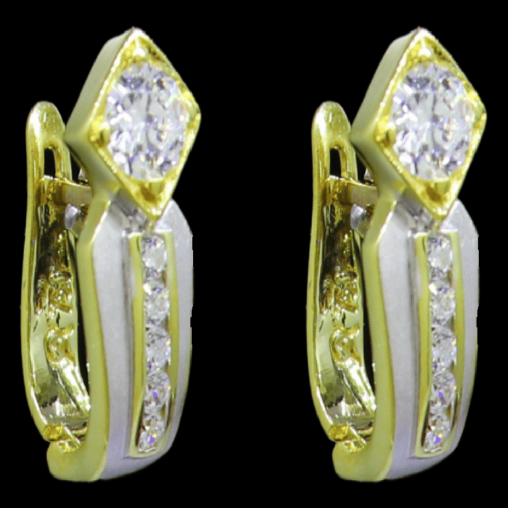 18K Gold Hoop Earrings - SW30838
