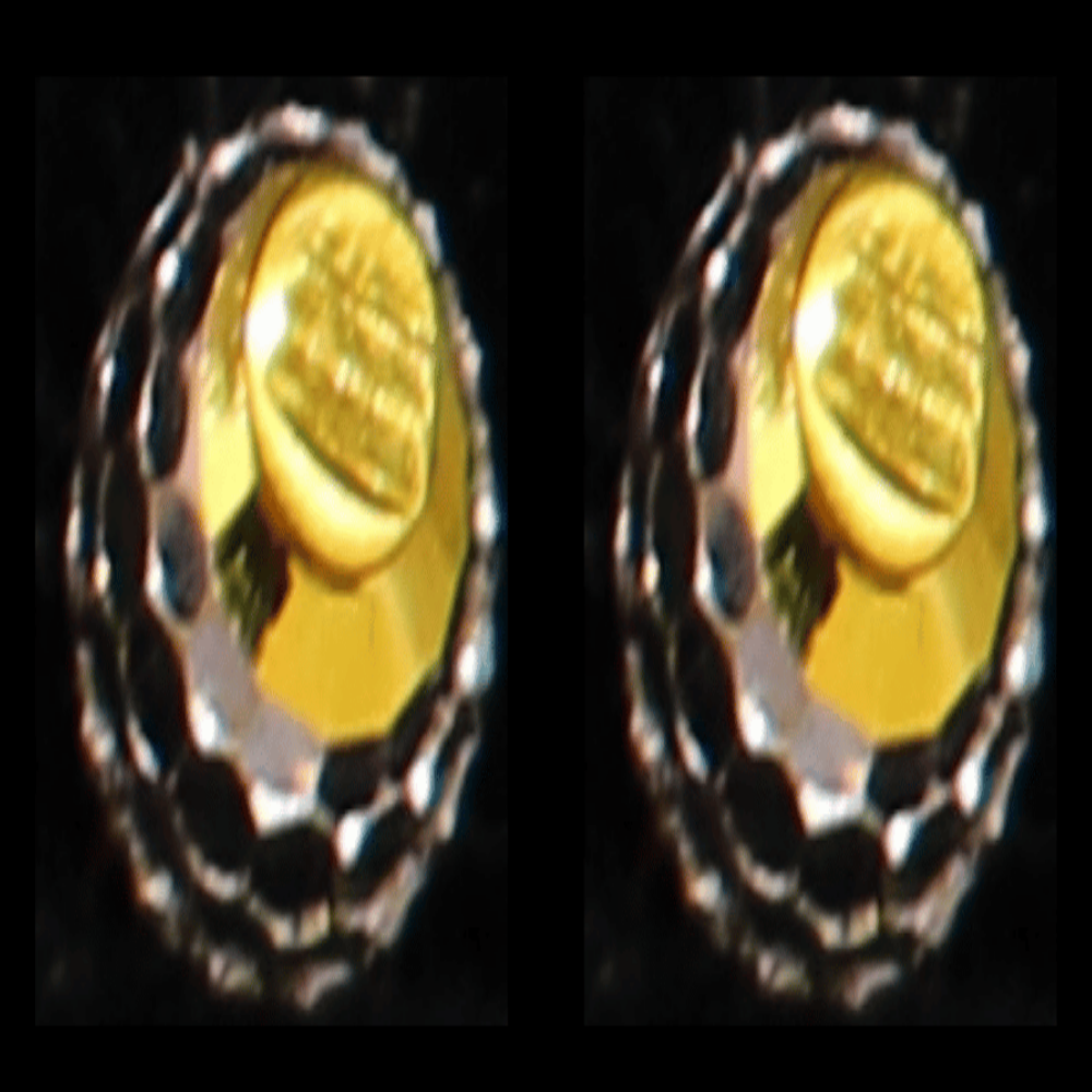 22K Gold Earrings – SW32167
