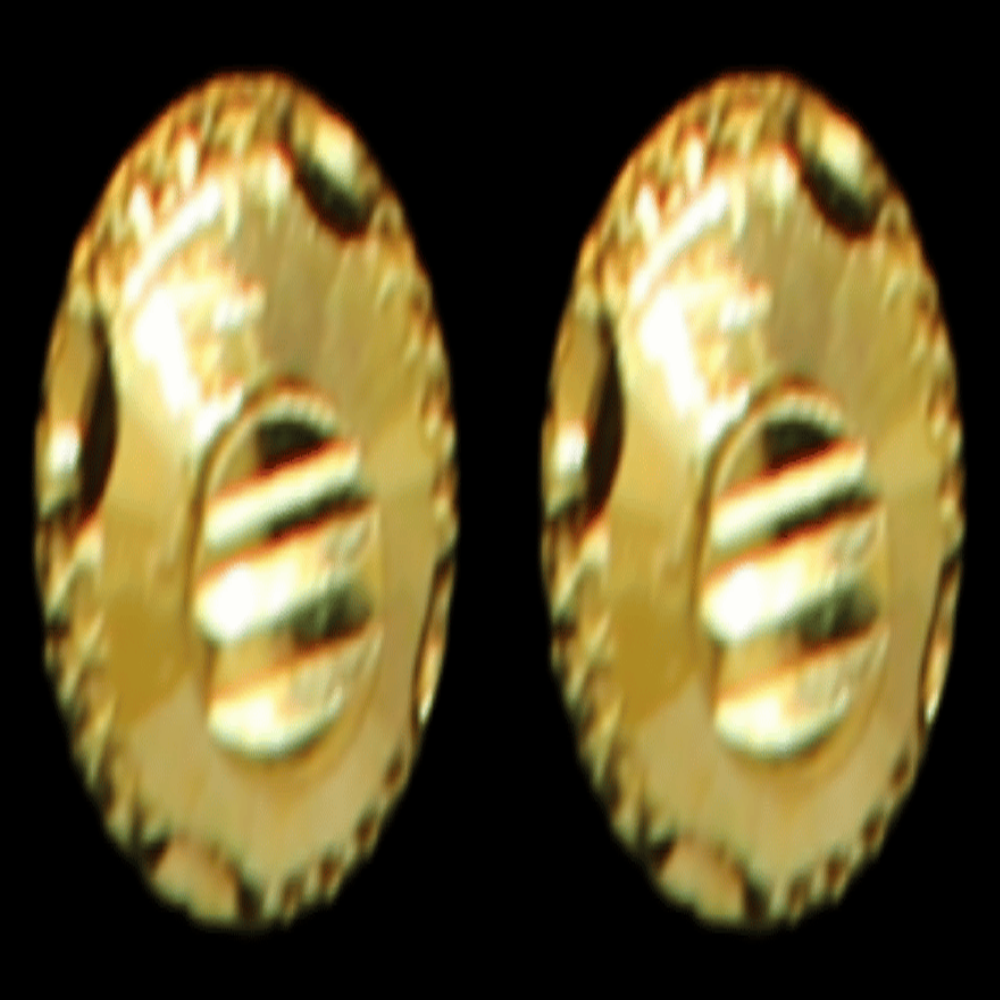 22K Gold Earrings – SW32146