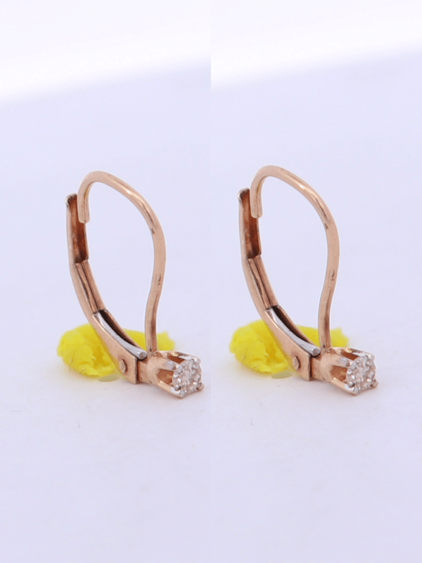 10K Yellow Gold Diamond Earrings – SW32011