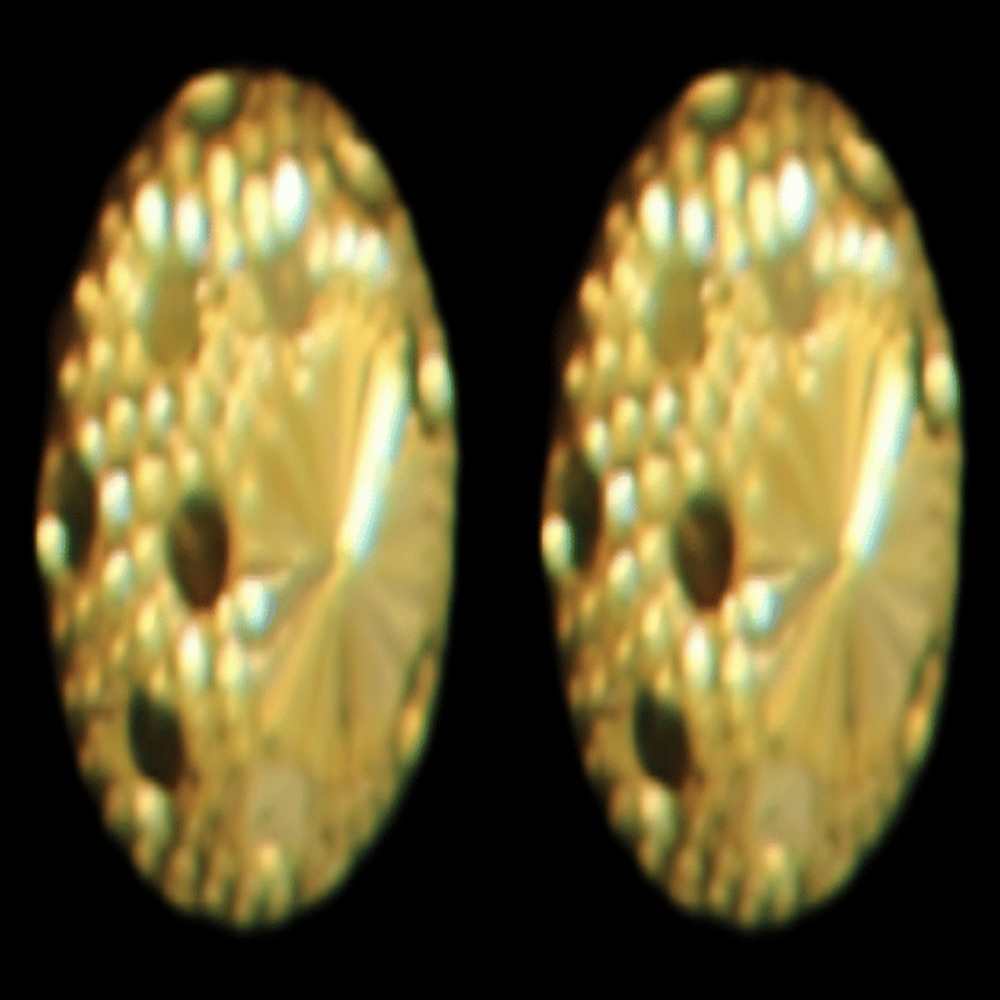 22K Gold Earrings – SW32149