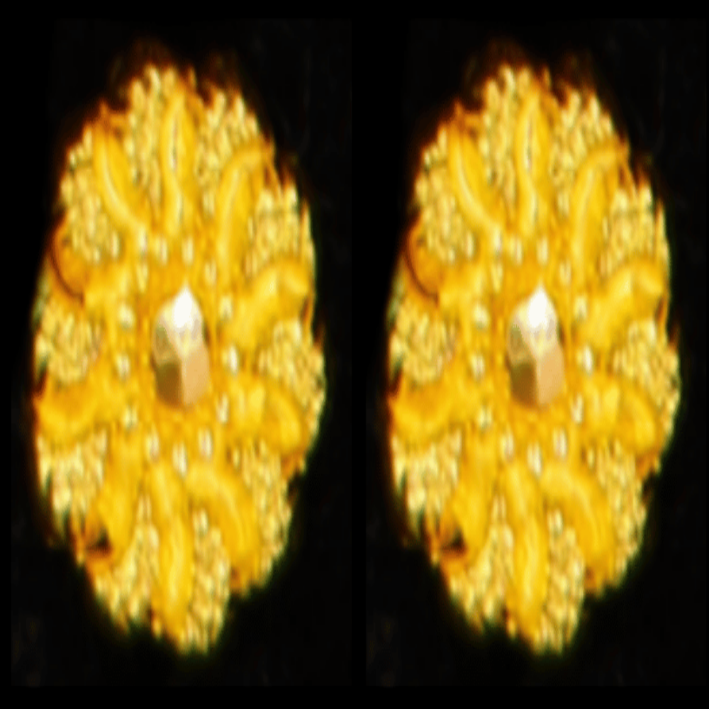 22K Gold Earrings - SW33508