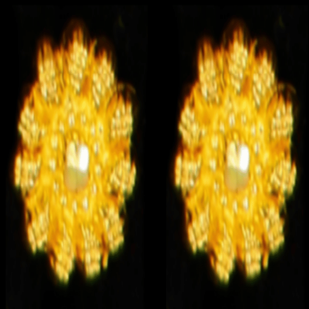 22K Gold Earrings – SW33509