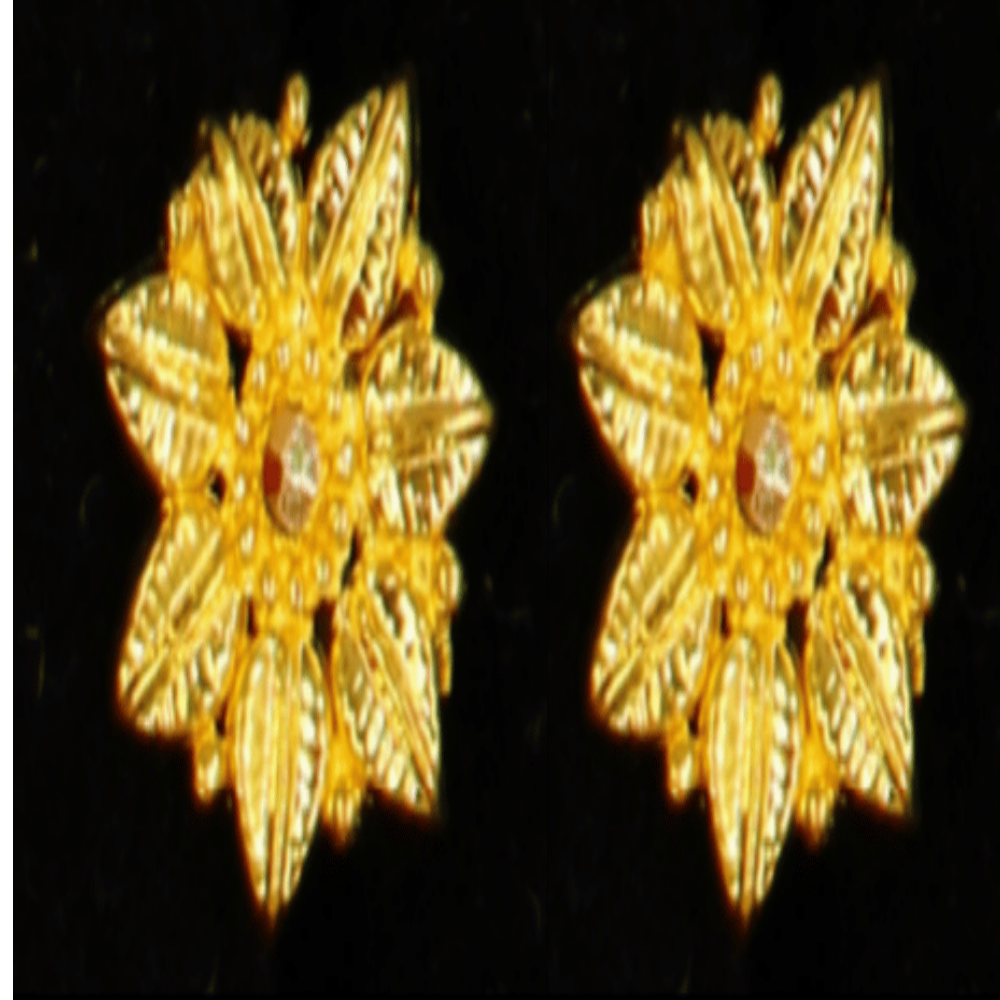 22K Gold Earrings – SW33505