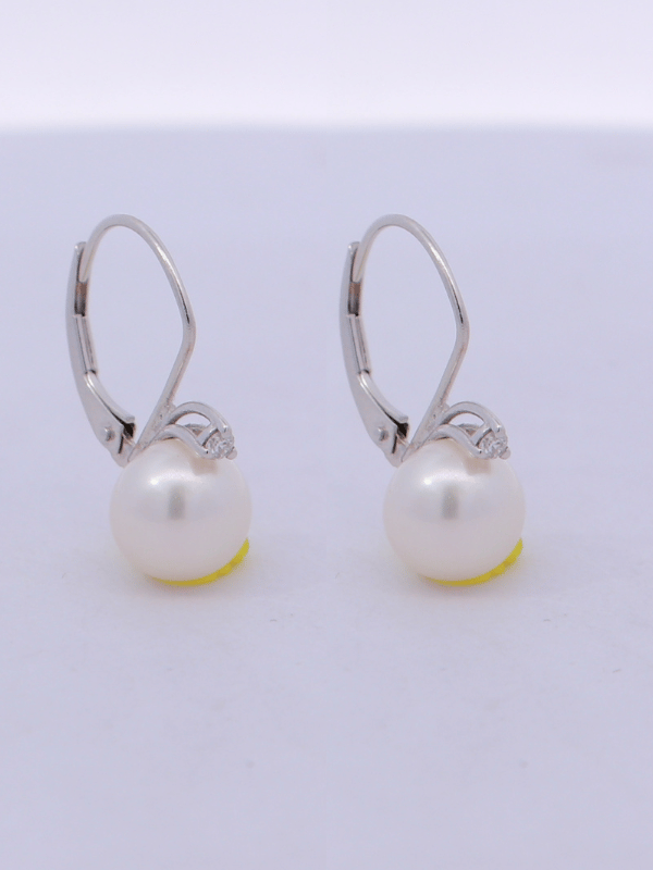 14K Yellow Gold Diamond Earrings – SW32005